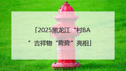 2025黑龙江“村BA”吉祥物“隆隆”亮相