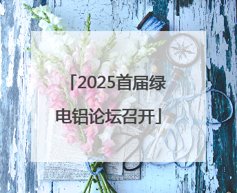 2025首届绿电铝论坛召开