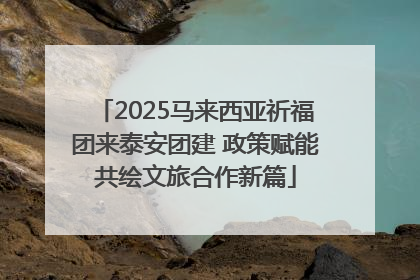 2025马来西亚祈福团来泰安团建 政策赋能共绘文旅合作新篇