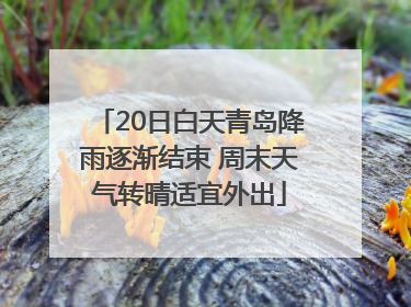 20日白天青岛降雨逐渐结束 周末天气转晴适宜外出