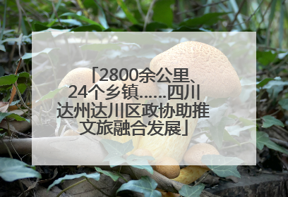 2800余公里、24个乡镇……四川达州达川区政协助推文旅融合发展