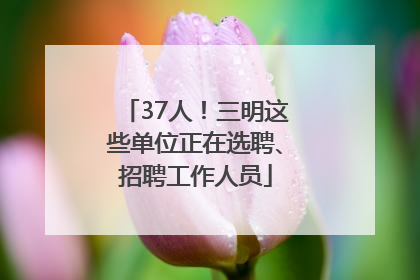 37人！三明这些单位正在选聘、招聘工作人员