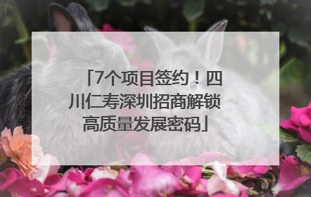 7个项目签约！四川仁寿深圳招商解锁高质量发展密码