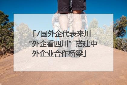 7国外企代表来川 “外企看四川”搭建中外企业合作桥梁