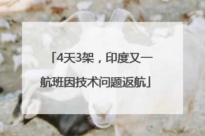 4天3架，印度又一航班因技术问题返航