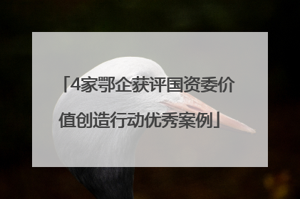 4家鄂企获评国资委价值创造行动优秀案例