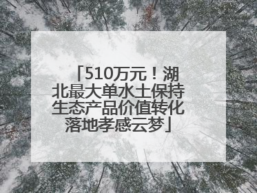 510万元！湖北最大单水土保持生态产品价值转化落地孝感云梦
