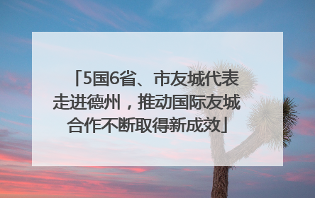 5国6省、市友城代表走进德州，推动国际友城合作不断取得新成效