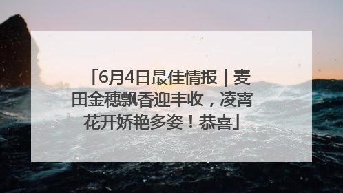 6月4日最佳情报｜麦田金穗飘香迎丰收，凌霄花开娇艳多姿！恭喜