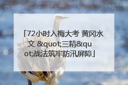 72小时入梅大考 黄冈水文 "三精"战法筑牢防汛屏障