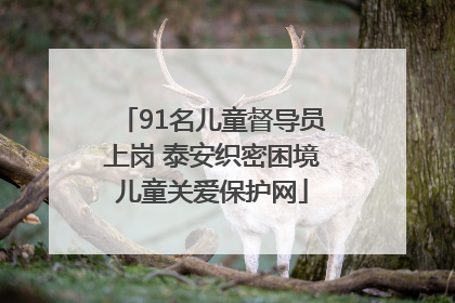 91名儿童督导员上岗 泰安织密困境儿童关爱保护网