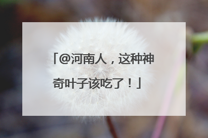 @河南人，这种神奇叶子该吃了！