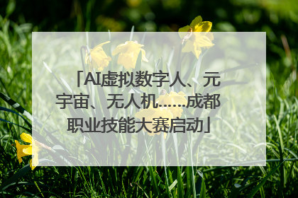 AI虚拟数字人、元宇宙、无人机……成都职业技能大赛启动