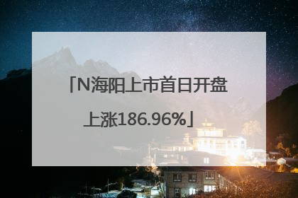 N海阳上市首日开盘上涨186.96%
