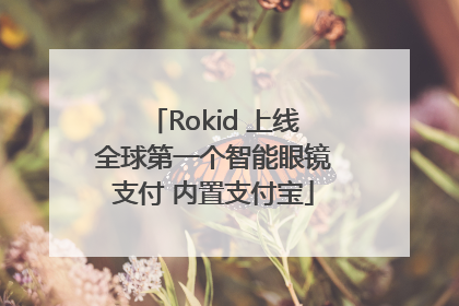 Rokid 上线全球第一个智能眼镜支付 内置支付宝